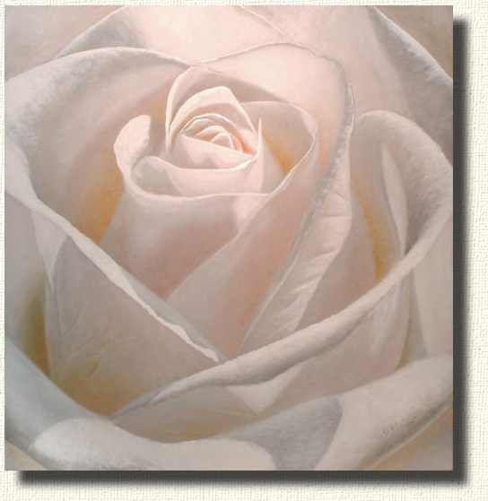 Rembrance - A portrait done in the style of Renoir. Rose paintings of the face of a rose.